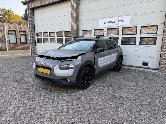 Citroën C4 cactus 1.2 e-VTi Business Automaat Navi Clima Cruise NAP ! picture 2