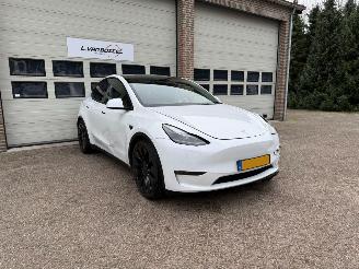 Schadeauto Tesla Model Y Performance AWD 75 kWh Leder Pano 1e Eig NAP 2022/9
