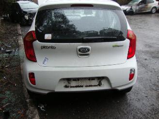 Kia Picanto  picture 4