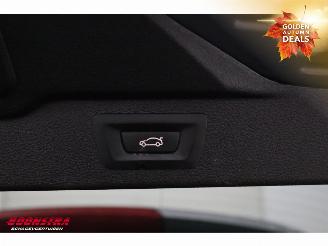 BMW X5 M50d M Sport Edition Pano ACC Memory Leder AHK SHZ picture 23