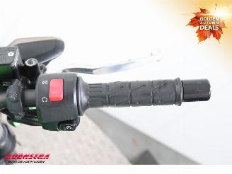 Kawasaki  Z 300 ABS picture 18