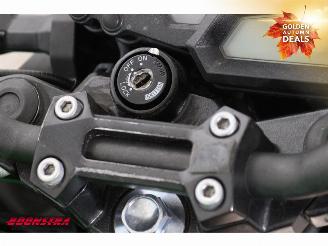 Kawasaki  Z 300 ABS picture 13