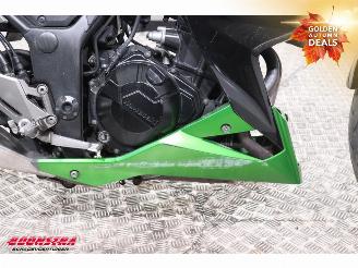 Kawasaki  Z 300 ABS picture 11