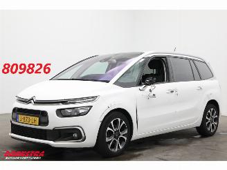 škoda osobní automobily Citroën Grand C4 SpaceTourer 1.2 PureTech Bns 7-Pers. Navi Clima Cruise Camera PDC AHK 46.725 km! 2020/9