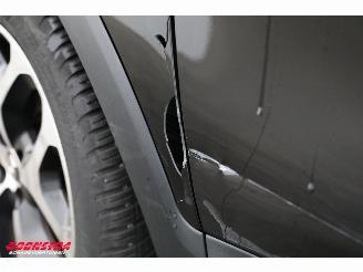 Renault Captur 0.9 TCe Life Navi Clima Cruise Camera PDC picture 11