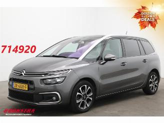 Avarii autoturisme Citroën Grand C4 SpaceTourer 1.2 P.Tech Business ACC Navi Camera PDC 2019/7
