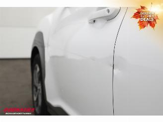 Hyundai Kona 1.6 GDI HEV Comfort Clima Navi Camera ACC picture 9