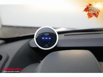 Renault Master 2.3 dCi 170 PK Aut. Roelofsen Parados 2-Pferde Navi Clima Cruise Camera AHK picture 35