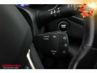 Renault Mégane 1.2 TCe Bose Pano Navi Clima Cruise picture 21