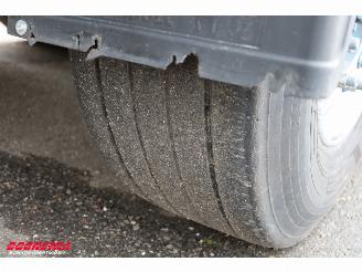 Schmitz Cargobull  SCB*S3 Carrier Vector HE19MT MultiTemp Rohrbahn Fleisch picture 20