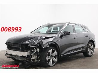 damaged passenger cars Audi E-tron 55 quattro 95 kWh Pano LED Cruise SHZ PDC 2019/5