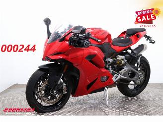 skadebil motor Ducati  Panigale V2 Panigale V2 ABS LED Cruise 1.500 km! 2025/7