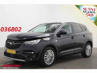 Vaurioauto  passenger cars Opel Grandland 1.2 Turbo Aut. Innovation LED Apple/Android Cruise Camera LRHZ SHZ 2019/1