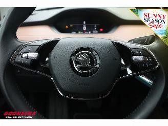 Skoda Enyaq 60 Leder Apple/Android Cruise Camera PDC picture 21