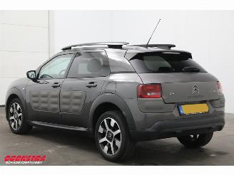 Citroën C4 cactus 1.2 PureTech Cruise Navi Clima Mulicity Connect Camera PDC picture 4