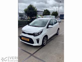 Sloopauto Kia Picanto Picanto (JA), Hatchback, 2017 1.0 DPi 12V 2022/12