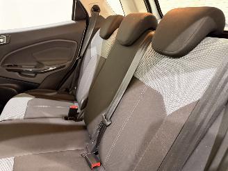 Ford EcoSport 1.0 Ecosport Titanium picture 28
