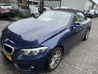Unfallwagen BMW 2-serie 218i  Automaat Cabriolet 2018/1