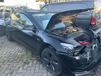  Tesla Model 3 Stnd RWD Plus 2023/8