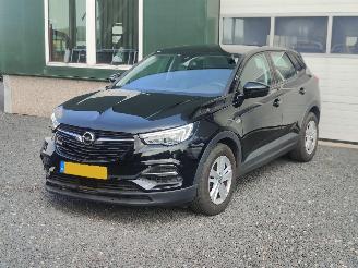 damaged passenger cars Opel Grandland 1.2 Turbo Edition Cruise Trekhaak 2020/1