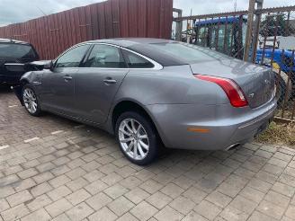 Jaguar XJ  picture 9