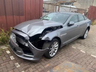 Jaguar XJ  picture 16