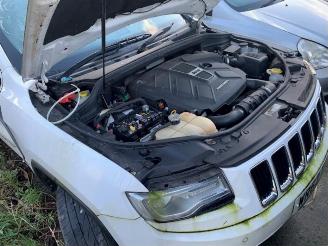 Jeep Grand-cherokee Grand Cherokee (WK/WK2), SUV, 2010 3.0 CRD V6 24V picture 9