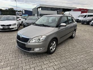 Voiture accidenté Skoda Fabia 1.2 TDI GREENLINE 55KW  KLIMA 2010/8