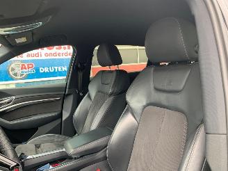 Audi E-tron 55 QUATTRO 300kW picture 10