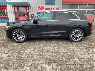 Audi E-tron 55 QUATTRO 300kW picture 2