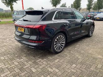 Audi E-tron 55 QUATTRO 300kW picture 5