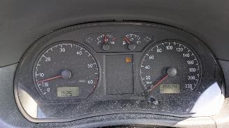 Volkswagen Polo 9N picture 12