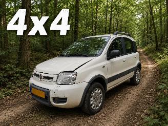  Fiat Panda 1.2 Climbing 4x4 2010/4