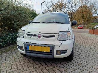 Fiat Panda 1.2 Climbing 4x4 picture 16