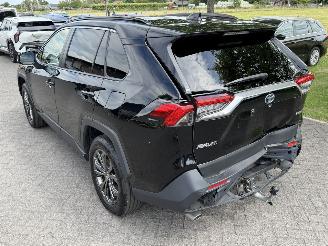 Toyota Rav-4 2.5 Hybrid / 131 KW / Panorama dak picture 6