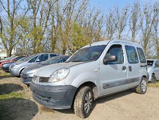 Dezmembrări autoturisme Renault Kangoo 1.2-16V Authentique 2008/9