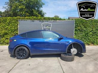 Auto da rottamare Tesla Model Y Model Y (5YJY), SUV, 2019 Long Range 72kWh 2023