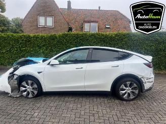 Vrakbiler auto Tesla Model Y Model Y (5YJY), SUV, 2019 Long Range 72kWh 2023/1
