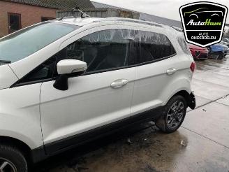 Ford EcoSport  picture 5