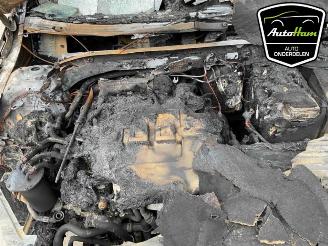 Volkswagen Golf Golf VII (AUA), Hatchback, 2012 / 2021 2.0 TDI 150 16V picture 13