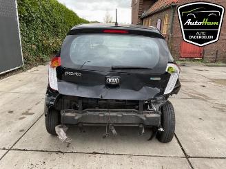 Kia Picanto Picanto (TA), Hatchback, 2011 / 2017 1.0 12V picture 11