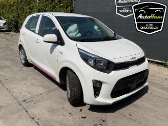Kia Picanto Picanto (JA), Hatchback, 2017 1.0 DPI 12V picture 2