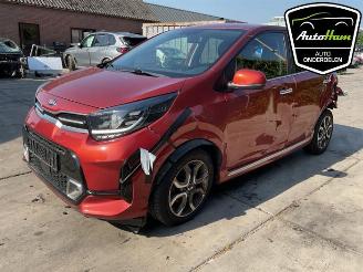 Kia Picanto Picanto (JA), Hatchback, 2017 1.0 DPi 12V picture 5