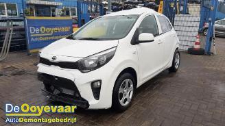 Kia Picanto Picanto (JA), Hatchback, 2017 1.0 12V picture 4
