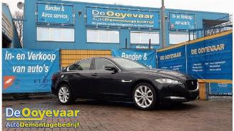 Salvage car Jaguar XF XF (X260), Sedan, 2015 2.0d 180 16V 2016/1