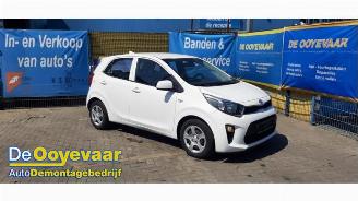 Sloopauto Kia Picanto Picanto (JA), Hatchback, 2017 1.0 12V 2019/11