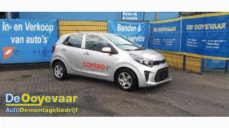Vrakbiler auto Kia Picanto Picanto (JA), Hatchback, 2017 1.0 DPI 12V 2024/2