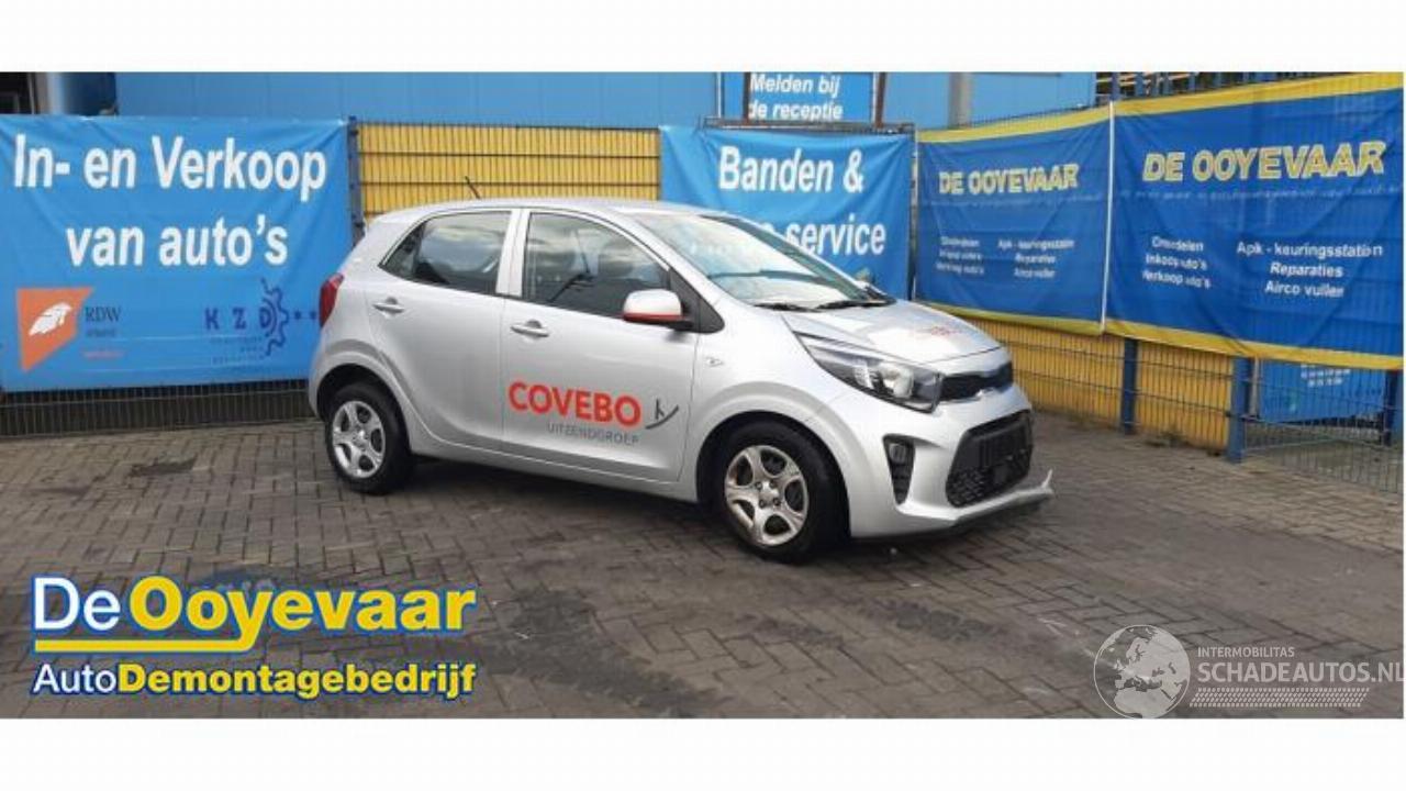 Kia Picanto Picanto (JA), Hatchback, 2017 1.0 DPI 12V