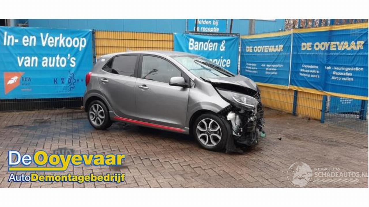 Kia Picanto Picanto (JA), Hatchback, 2017 1.0 DPi 12V