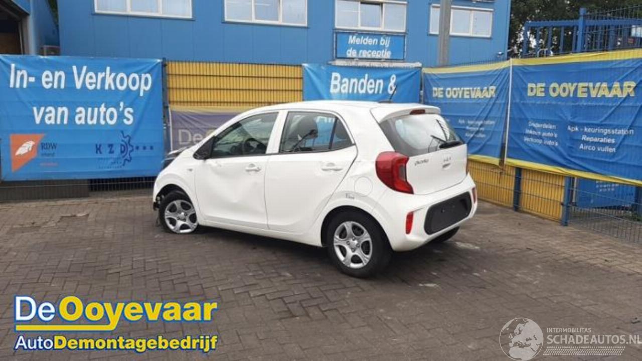 Kia Picanto Picanto (JA), Hatchback, 2017 1.0 DPI 12V